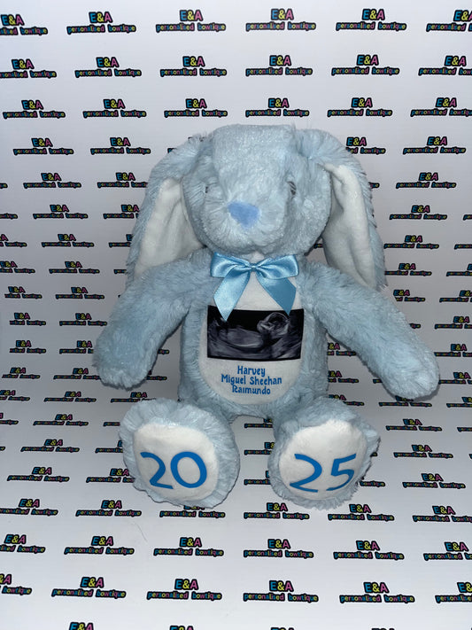 Scan photo teddies